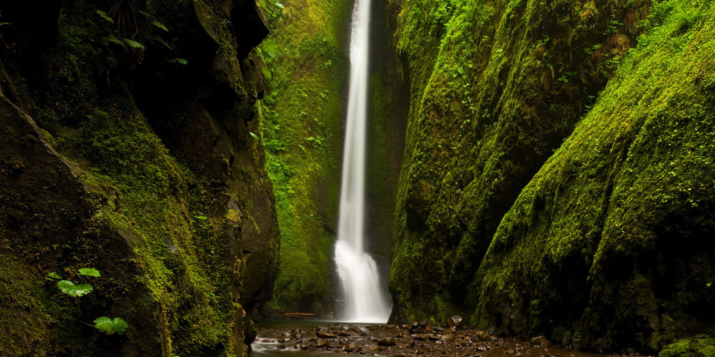 oregon waterfall elopement locations, Oneonta gorge waterfall hike oregon