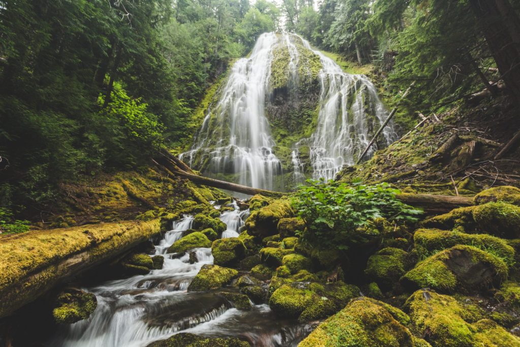 oregon waterfall elopement locations, Proxy falls oregon