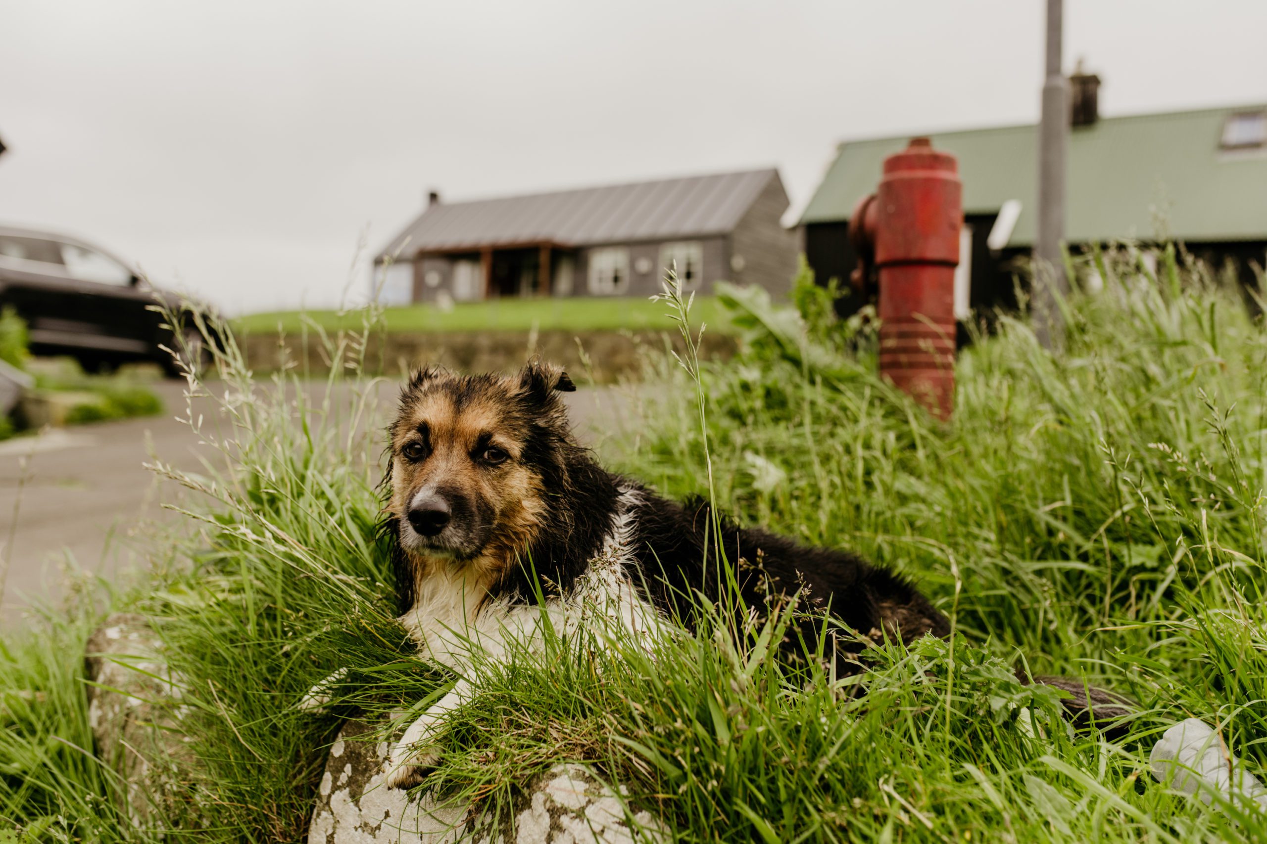 Gásadalur is a remote village on Vágar island in the wild Faroe Islands. How to Elope in Faroe Islands.