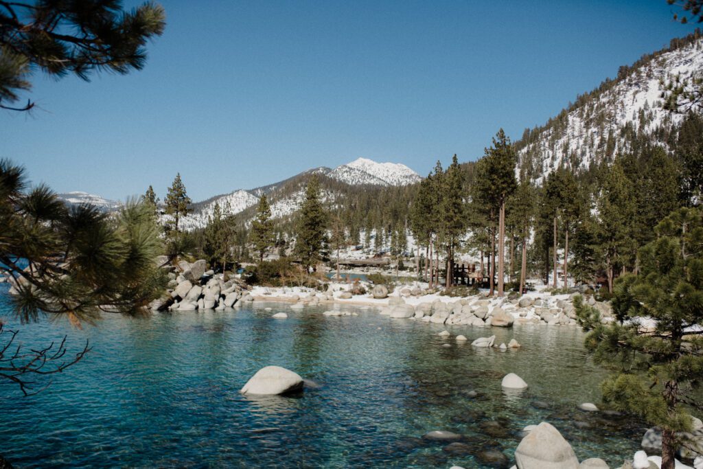 A Sand Harbor elopement in Lake Tahoe with a gender reveal! North Lake Tahoe elopement locations focusing on Sand Harbor and Logan Shoals, Sand Harbor elopement, Bernese mountain dog, where can I elope with my dog