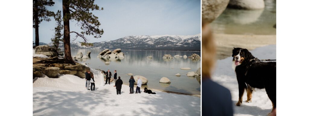 A Sand Harbor elopement in Lake Tahoe with a gender reveal! North Lake Tahoe elopement locations focusing on Sand Harbor and Logan Shoals, Sand Harbor elopement, Bernese mountain dog, where can I elope with my dog