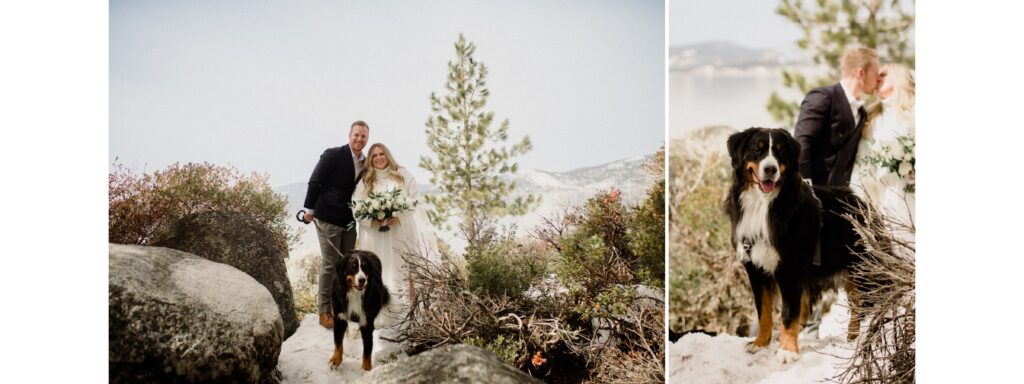 A Sand Harbor elopement in Lake Tahoe with a gender reveal! North Lake Tahoe elopement locations focusing on Sand Harbor and Logan Shoals, Sand Harbor elopement, Dog elopement 