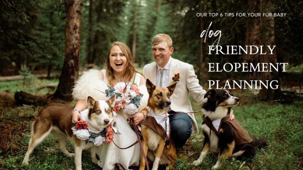 Our top 6 tips on how to plan dog friendly elopement! We are here to give you the goods you can’t miss out on including our checklist.