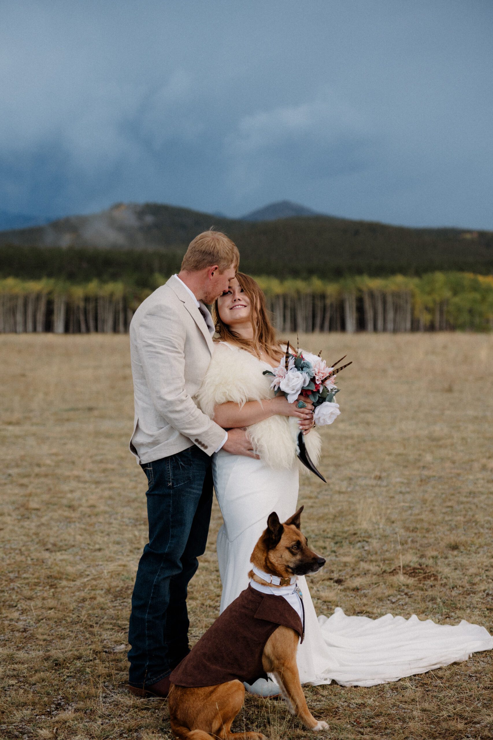 Bighorn National Forest wedding in Wyoming with dogs, an epic lightening strike, gorgeous fall colors and more than enough adventure!