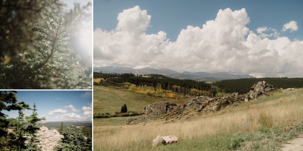 Bighorn National Forest wedding in Wyoming with dogs, an epic lightening strike, gorgeous fall colors and more than enough adventure! 
