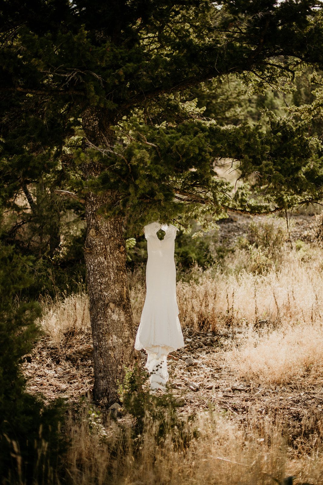 Wedding Photography Shot List, stand alone dress photo.