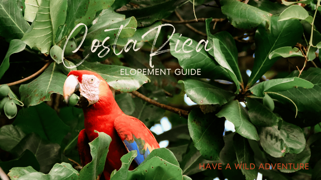 Elope in Costa Rica with a wild adventure guide.