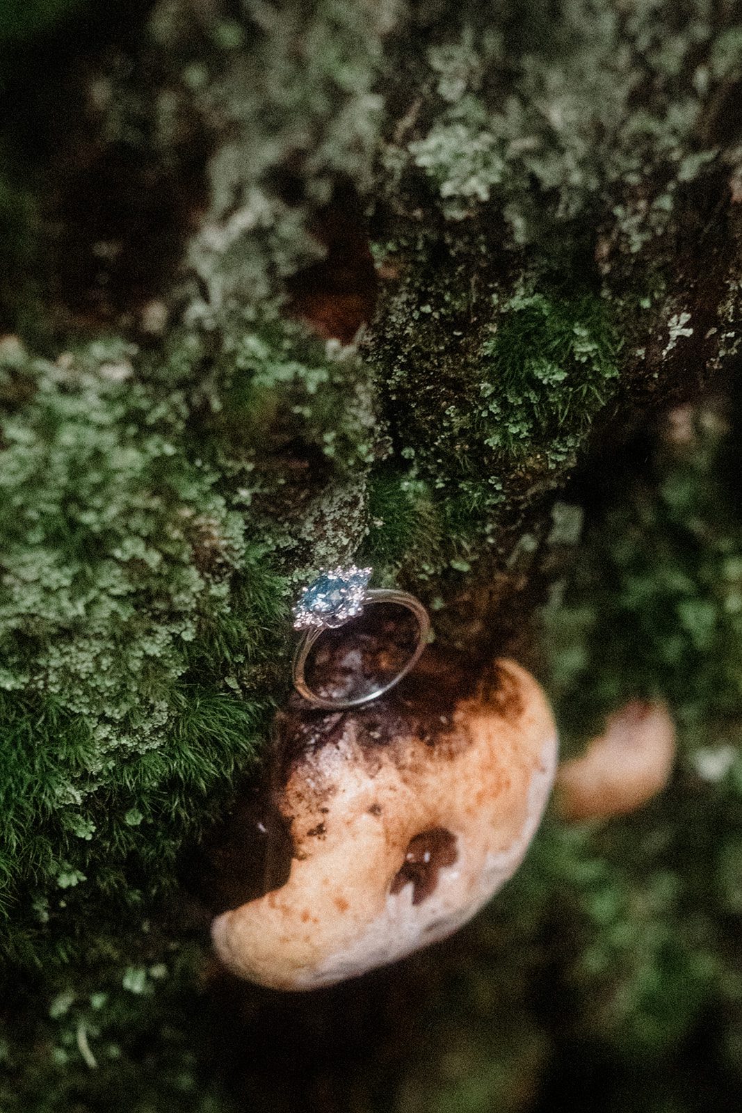 A National Park proposal in Glacier! STUNNING lake view with 4-mile hike where he popped the question. She said YES!

How do I surprise my girlfriend with a proposal on a hike? 