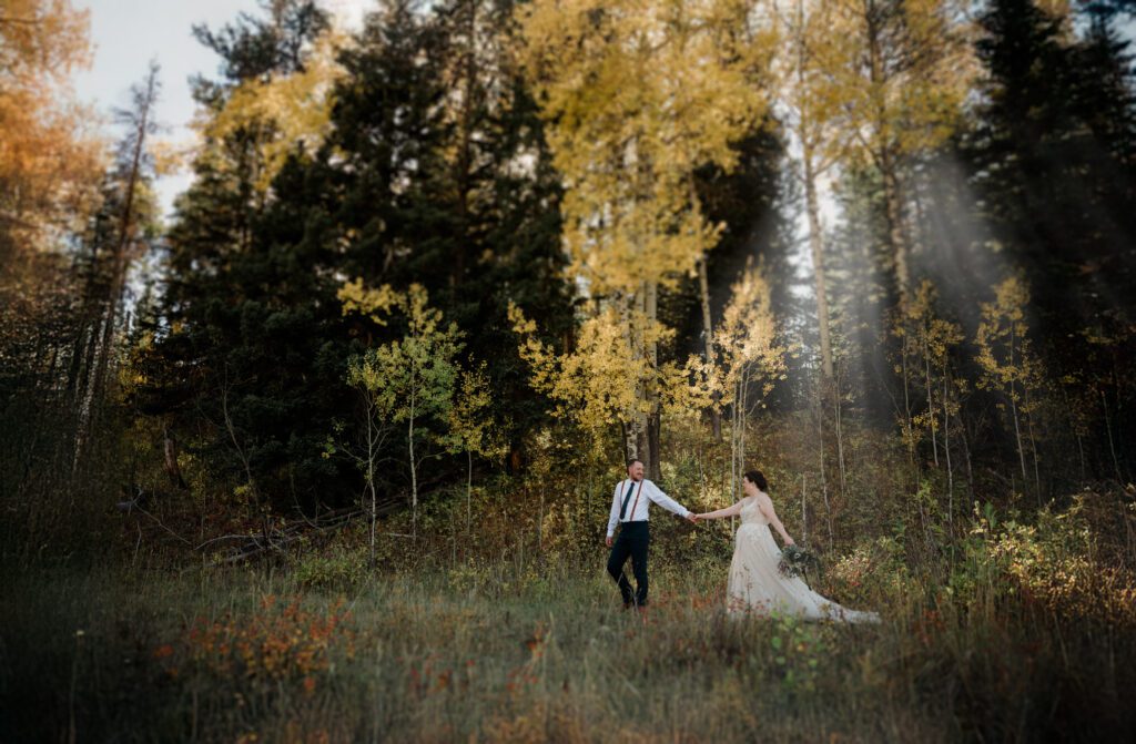 A stunning Yellowstone National Park elopement with intimate moments, breathtaking views and of course the perfect wedding guests- BUFFALO!

Gorgeous wedding photos at sunset in Yellowstone National Park.