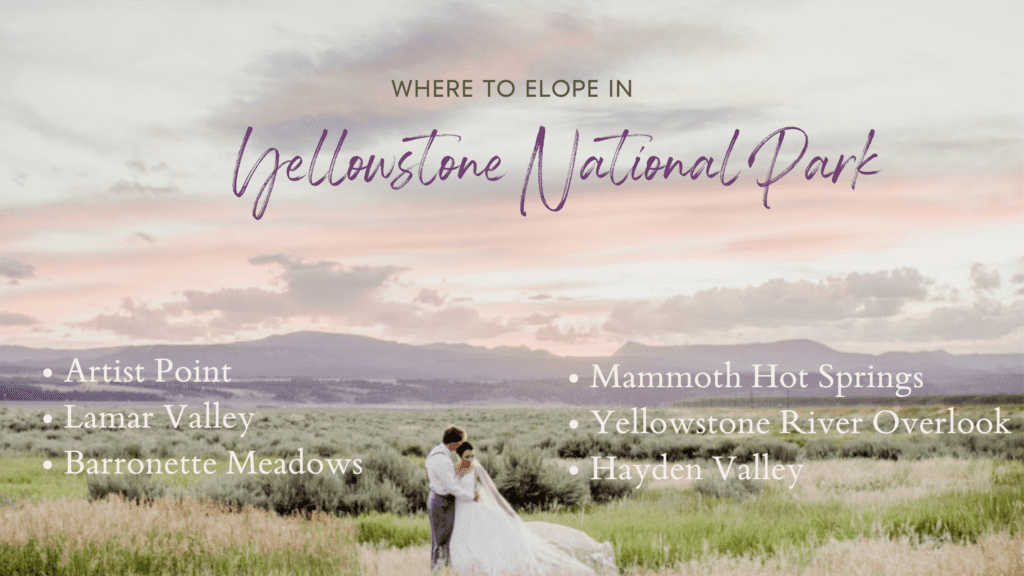 How to elope at Yellowstone National Park with where to go. Wedding couple in the wide open of Yellowstone National Park and a purple sunset.