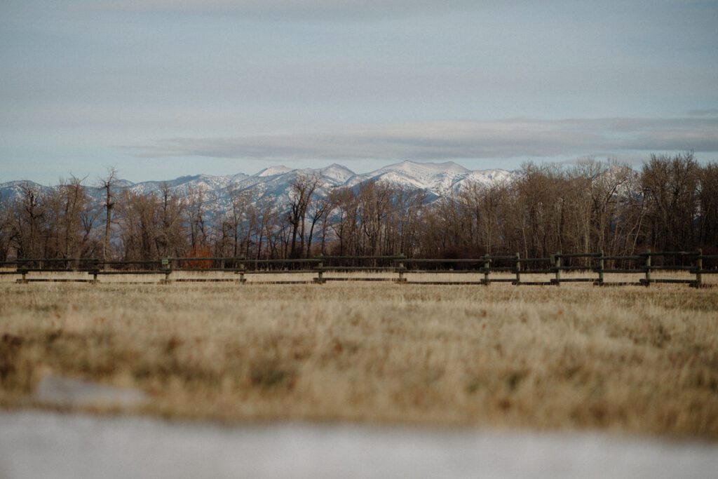 It's magic for this winter wedding in Bozeman at Firelight Farm. Cozy vibes, a champagne tower, and western charm!