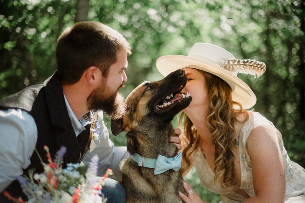 Dog friendly micro wedding in Glacier National park.