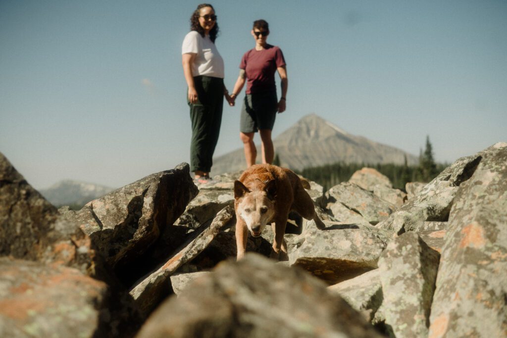 K&S's Montana hiking engagement session in Big Sky —wildflowers, adventure vibes, and pup cameos included!