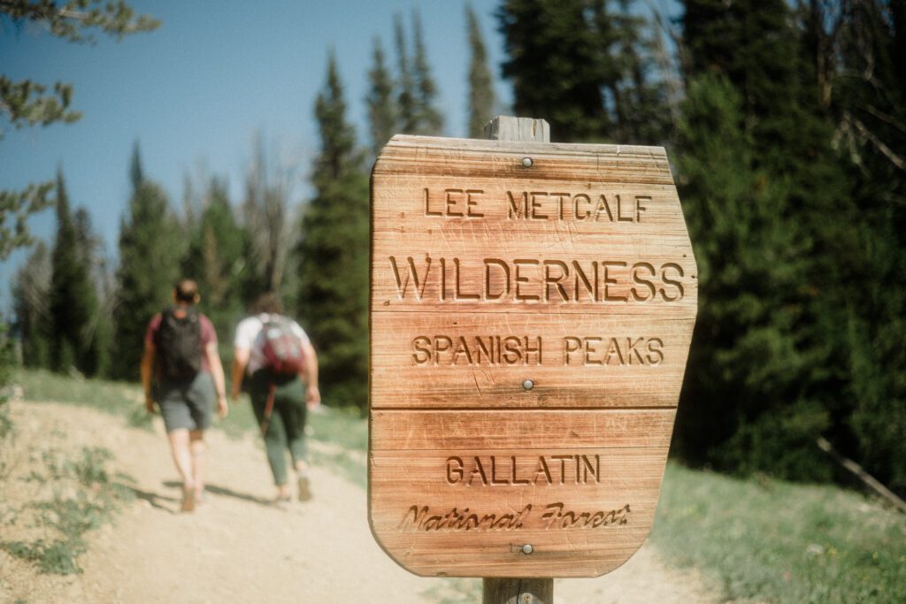 K&S's Montana hiking engagement session in Big Sky —wildflowers, adventure vibes, and pup cameos included!
