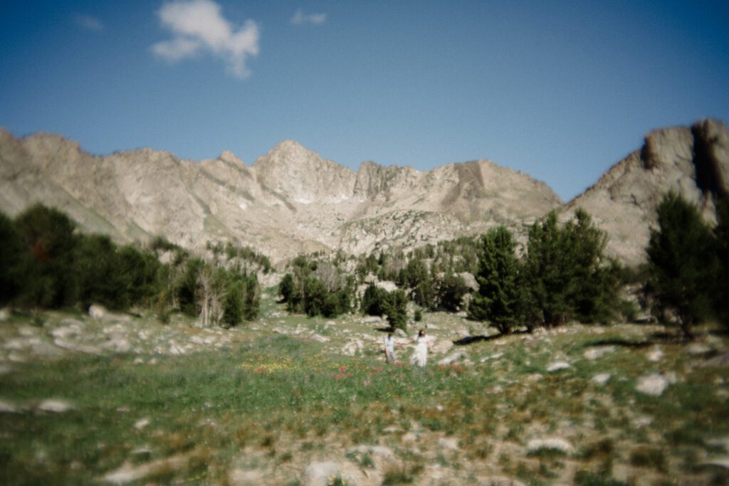 K&S's Montana hiking engagement session in Big Sky —wildflowers, adventure vibes, and pup cameos included!