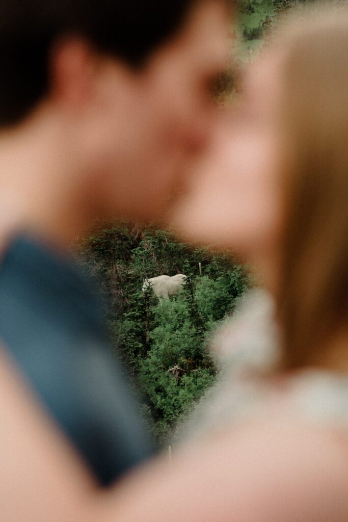Wanna learn how to take engagement photos in Glacier? I GOTTCHU! What to wear, where to go for the best photos, and pro tips!