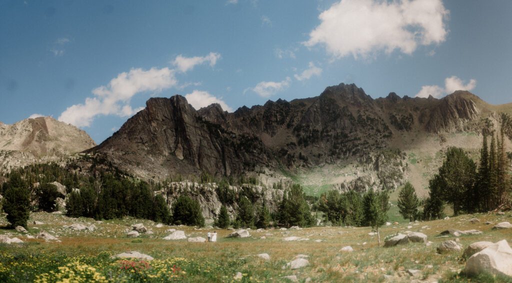 K&S's Montana hiking engagement session in Big Sky —wildflowers, adventure vibes, and pup cameos included!