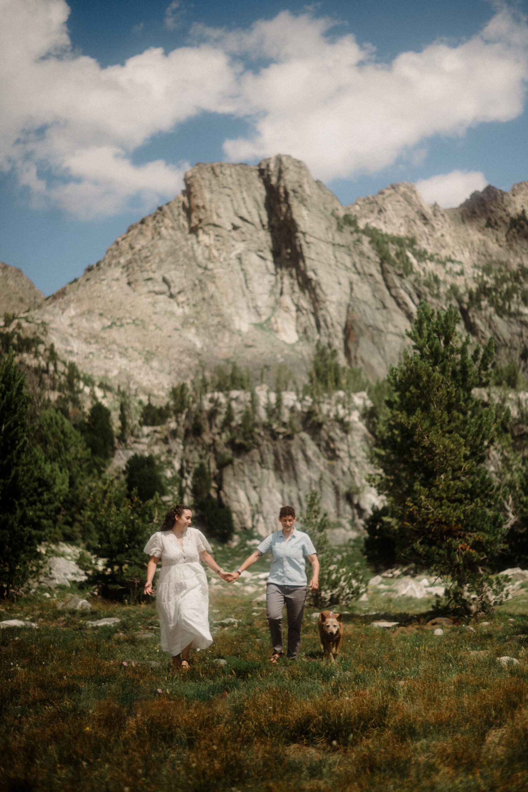 K&S's Montana hiking engagement session in Big Sky —wildflowers, adventure vibes, and pup cameos included!