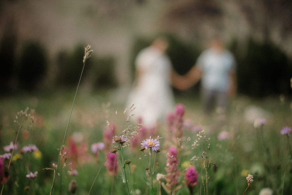K&S's Montana hiking engagement session in Big Sky —wildflowers, adventure vibes, and pup cameos included!