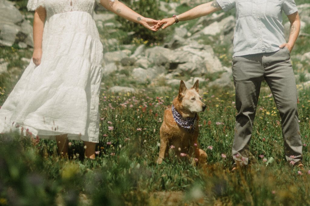 K&S's Montana hiking engagement session in Big Sky —wildflowers, adventure vibes, and pup cameos included!
