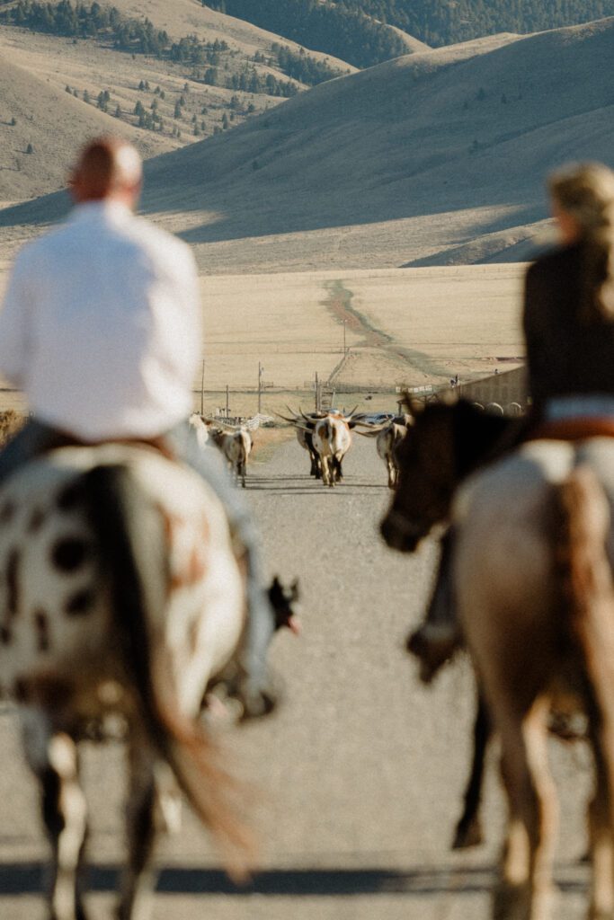 Dreaming of Montana Ranch Weddings? Get the sass, the step-by-step on Montana marriage laws, and all the best Big Sky and wedding venues for your wild, western “I do.”