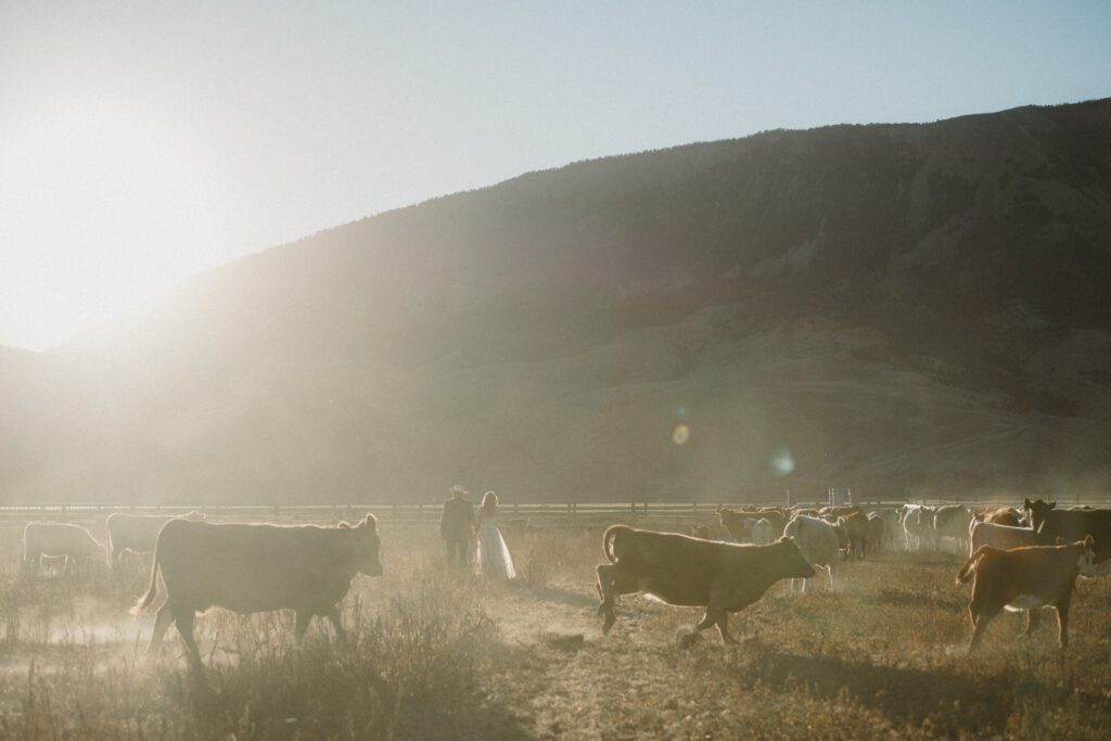 Dreaming of Montana Ranch Weddings? Get the sass, the step-by-step on Montana marriage laws, and all the best Big Sky and wedding venues for your wild, western “I do.”