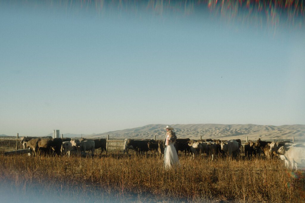 Dreaming of Montana Ranch Weddings? Get the sass, the step-by-step on Montana marriage laws, and all the best Big Sky and wedding venues for your wild, western “I do.”