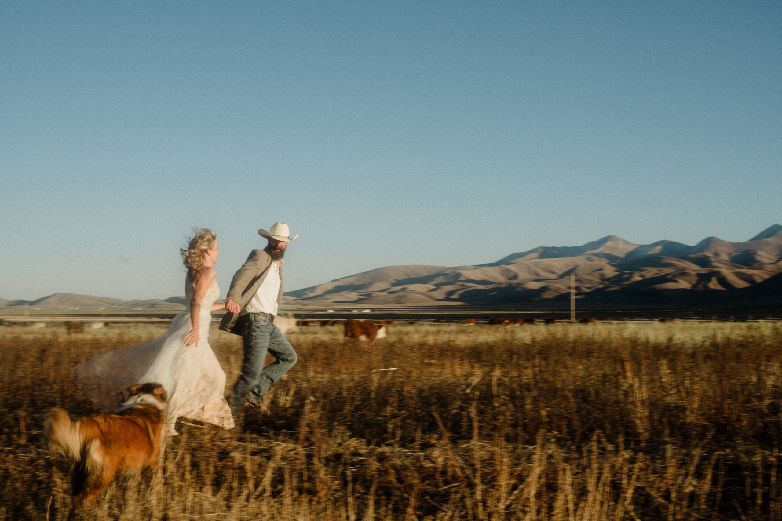 Montana ranch. Cowboy leading bride across the field. Mountain in the background.