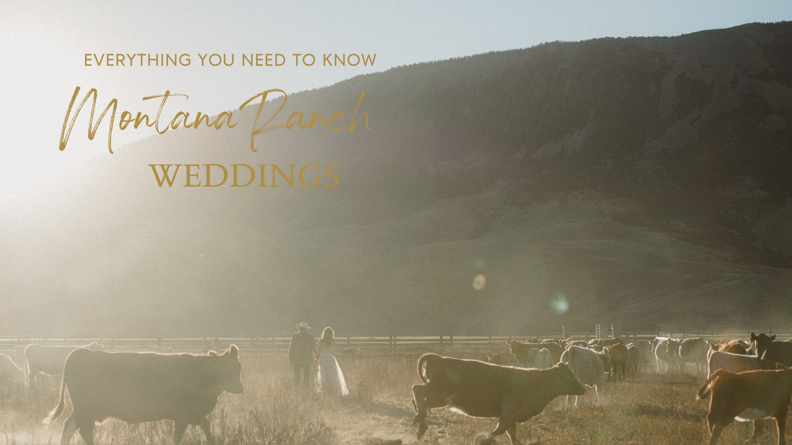 Dreaming of Montana Ranch Weddings? Get the sass, the step-by-step on Montana marriage laws, and all the best Big Sky wedding venues for your wild, western “I do.”