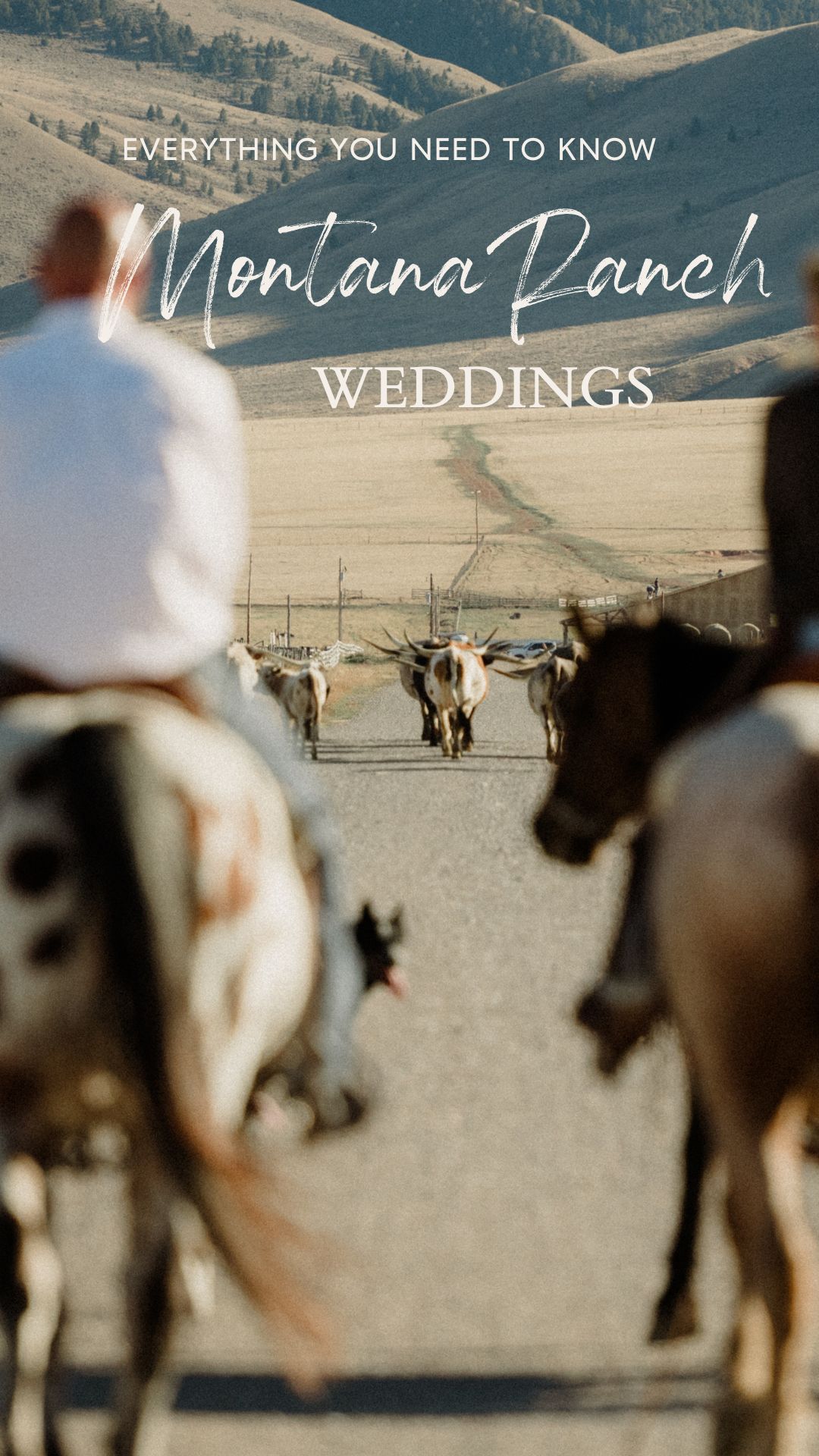 Dreaming of Montana Ranch Weddings? Get the sass, the step-by-step on Montana marriage laws, and all the best Big Sky wedding venues for your wild, western “I do.”