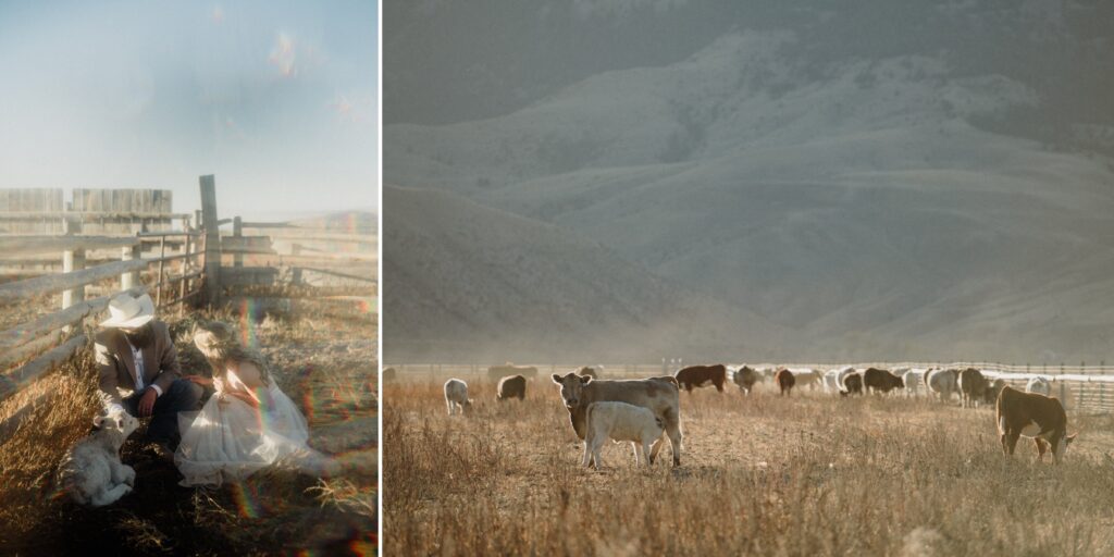 Dreaming of Montana Ranch Weddings? Get the sass, the step-by-step on Montana marriage laws, and all the best Big Sky and wedding venues for your wild, western “I do.”