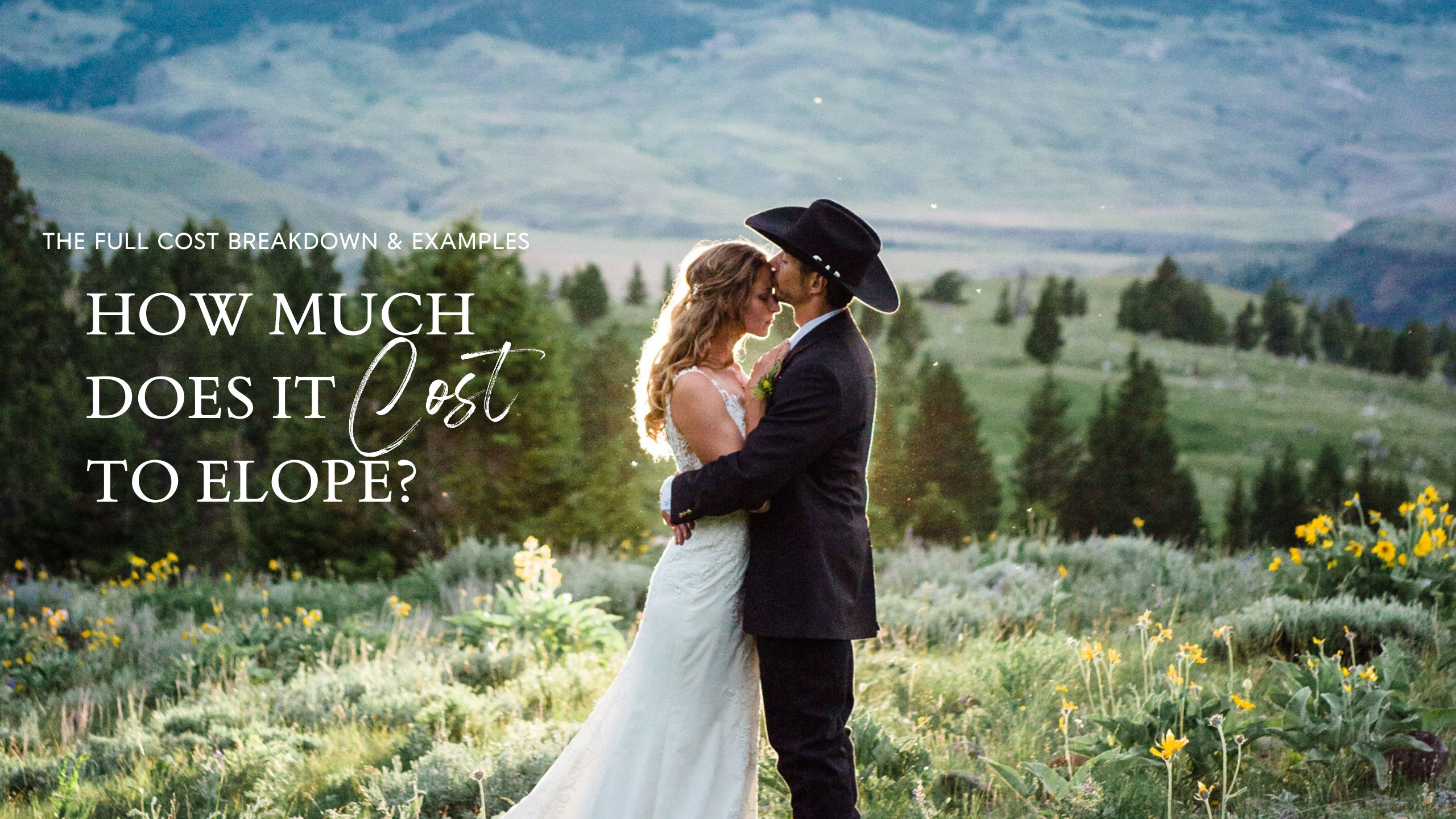 Ultimate 2026 guide on how much does it cost to elope? Real budgets, park permits, court fees, and expert tips to plan your dream adventure.
