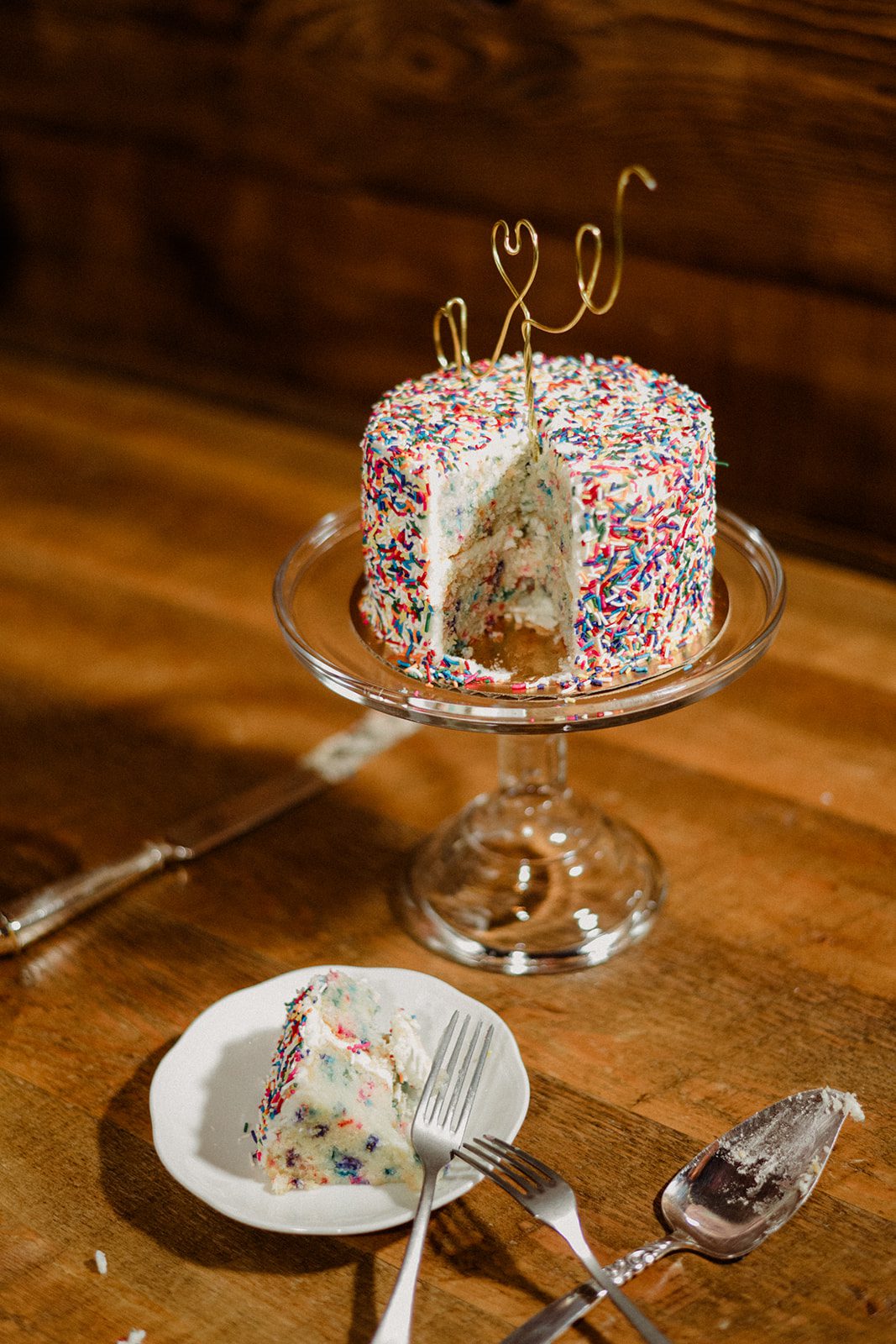 Bozeman wedding with dogs complete with bow ties, sunset photos, and dreamy rain portraits. Plus tips for including your dog in your wedding day.