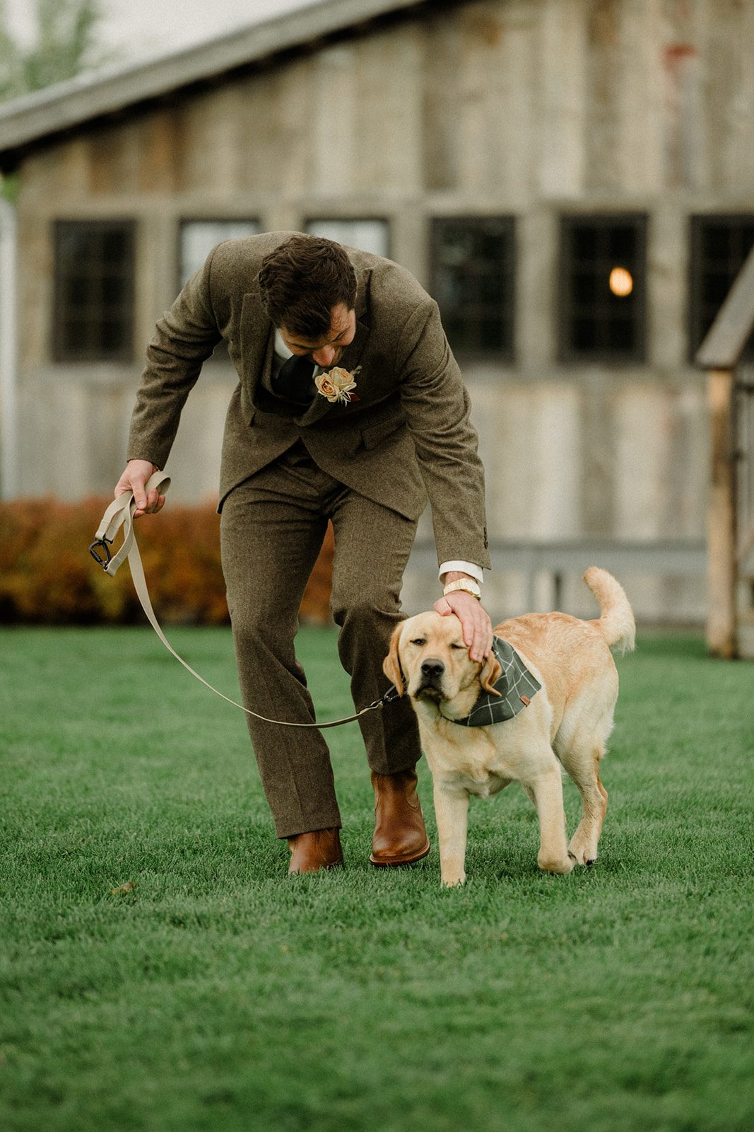 Bozeman wedding with dogs complete with bow ties, sunset photos, and dreamy rain portraits. Plus tips for including your dog in your wedding day.