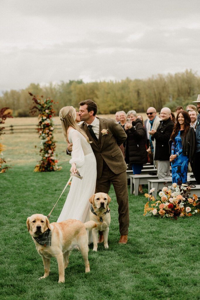 Bozeman wedding with dogs complete with bow ties, sunset photos, and dreamy rain portraits. Plus tips for including your dog in your wedding day.