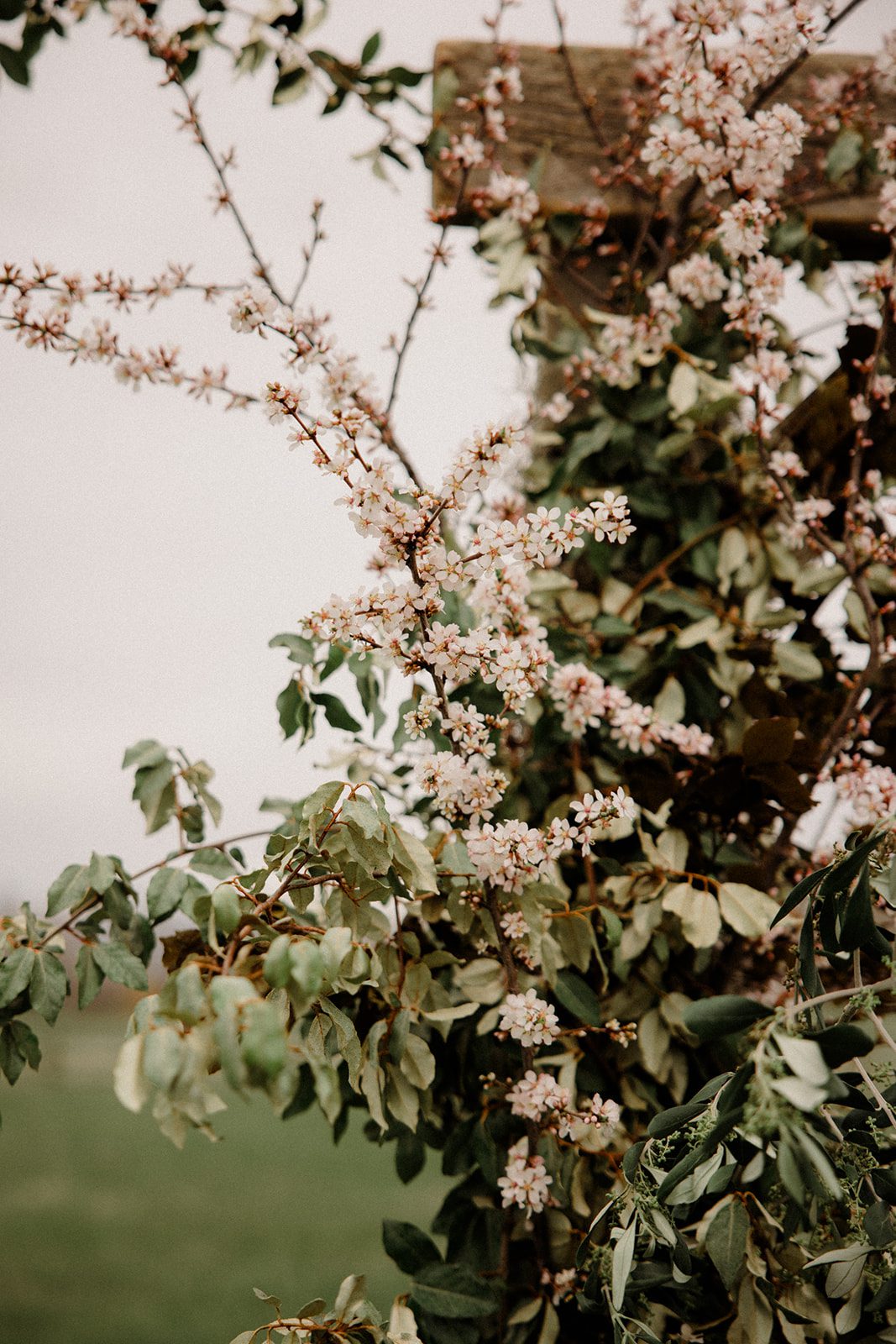See this Bozeman wedding at Firelight Farm featuring heartfelt moments, joyful laughter, and a couple whose love shines in every photo.