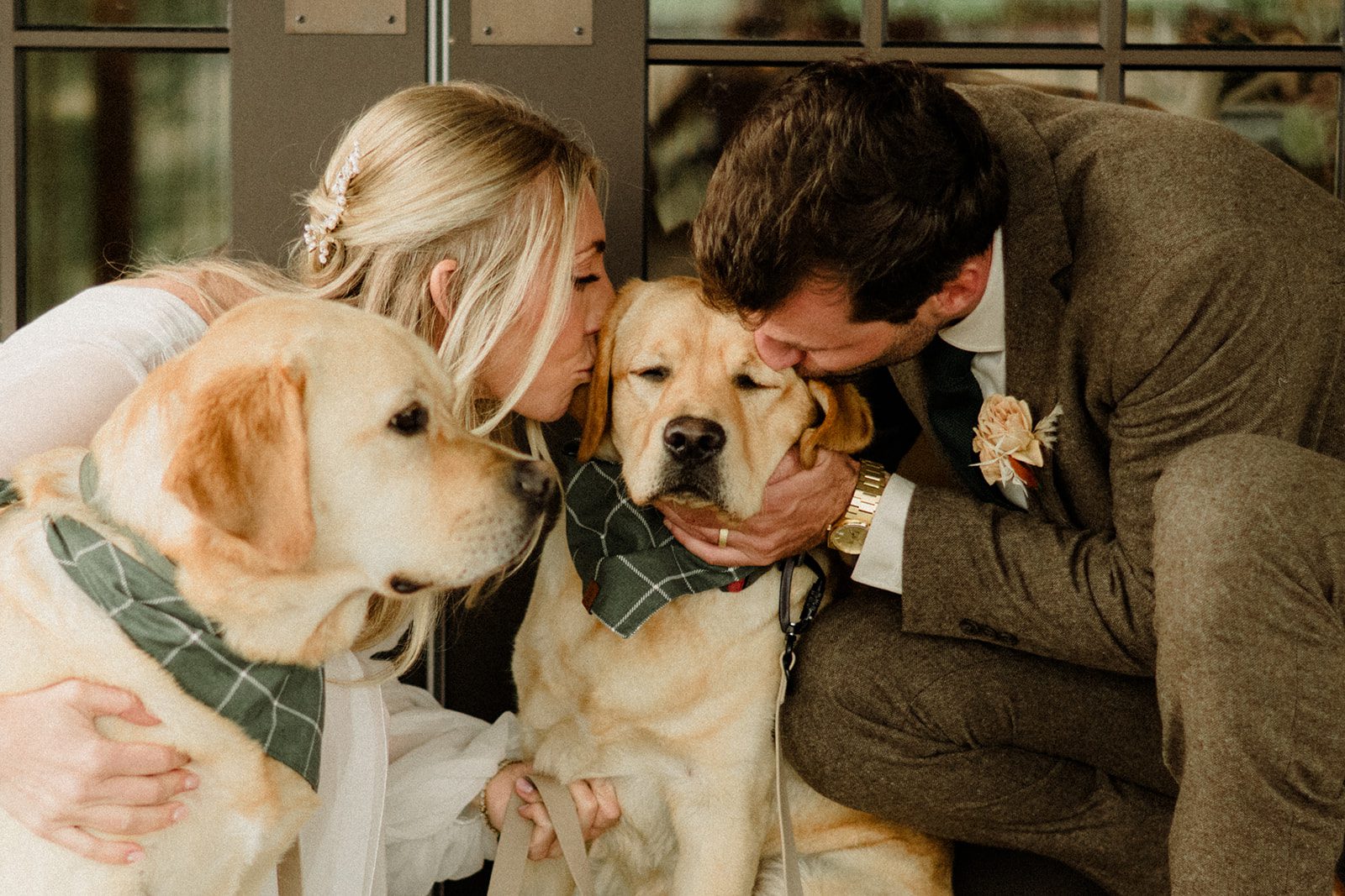 Bozeman wedding with dogs complete with bow ties, sunset photos, and dreamy rain portraits. Plus tips for including your dog in your wedding day.