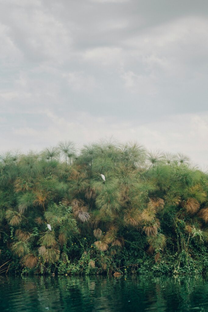 The ultimate Kenya wedding guide includes top spots for your wedding ceremony, best time to elope, how to make it legal, and budgeting.