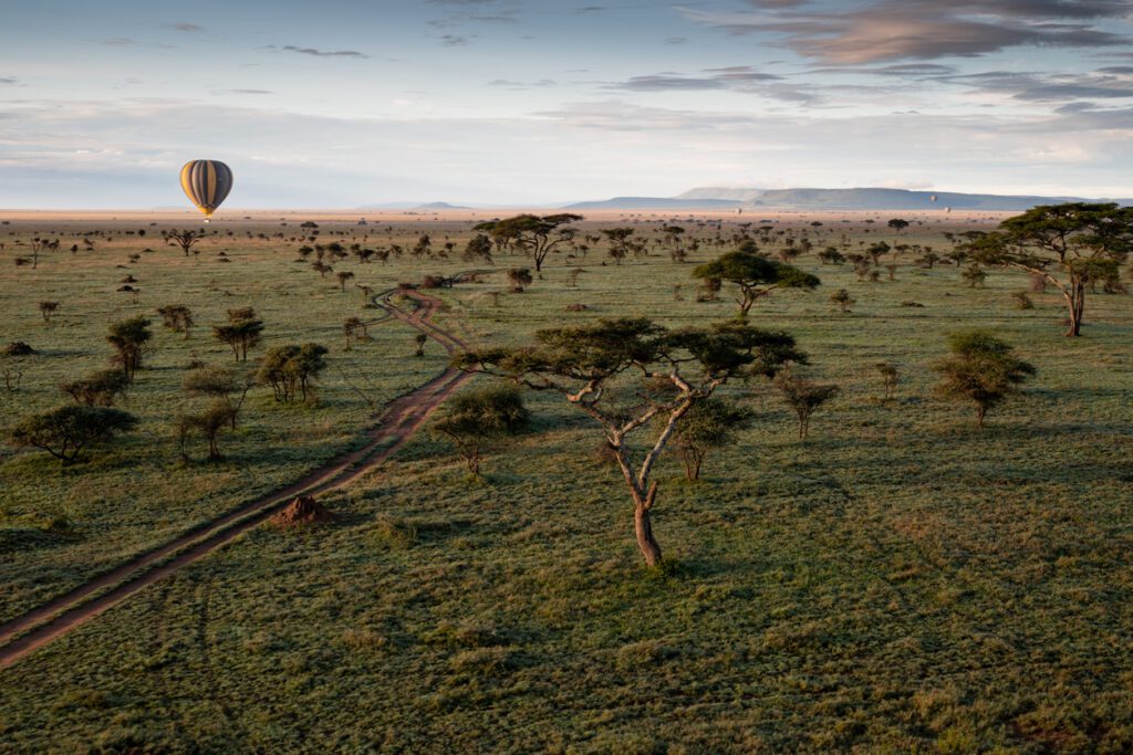 An African Wedding Safari with top safari locations, packing list, and an elopement timeline to make your planning easy.