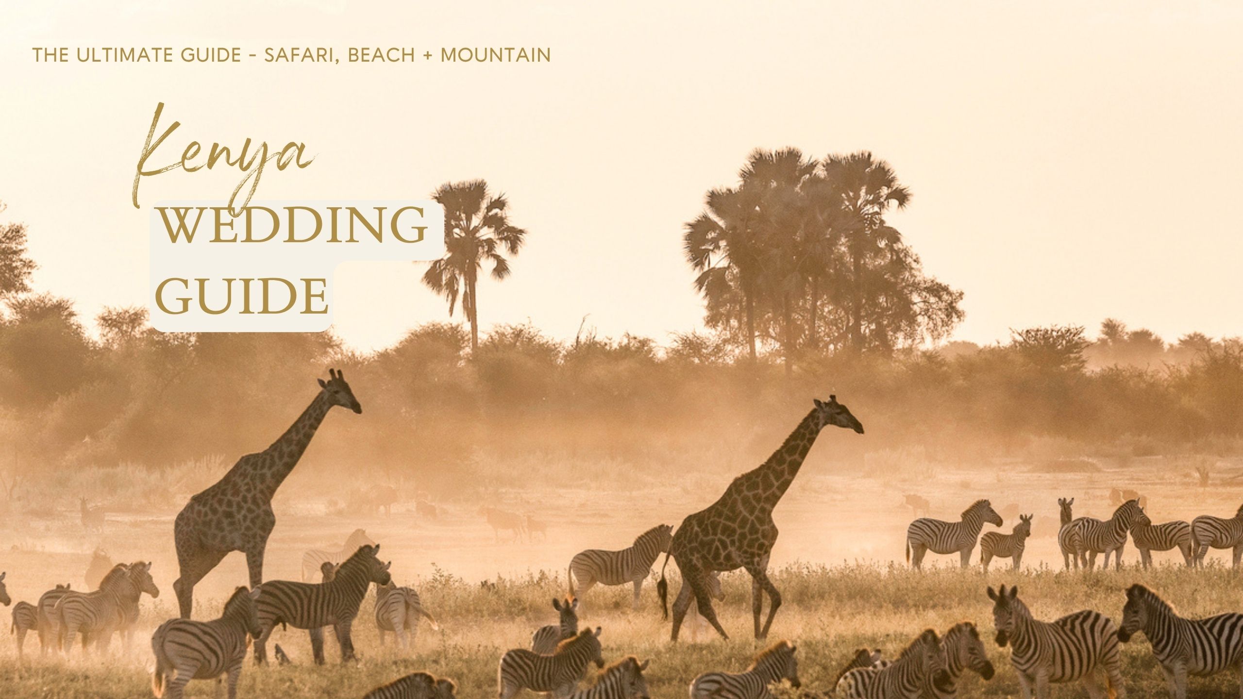 The ultimate Kenya wedding guide includes top spots for your wedding ceremony, best time to elope, how to make it legal, and budgeting.