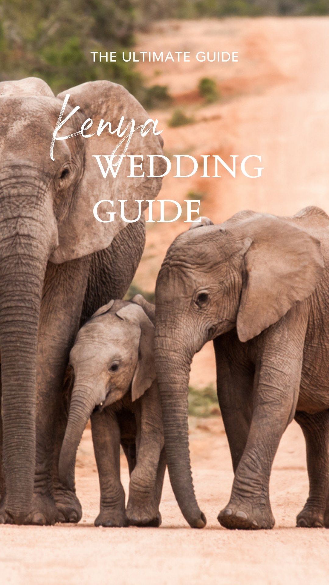 The ultimate Kenya wedding guide includes top spots for your wedding ceremony, best time to elope, how to make it legal, and budgeting.
