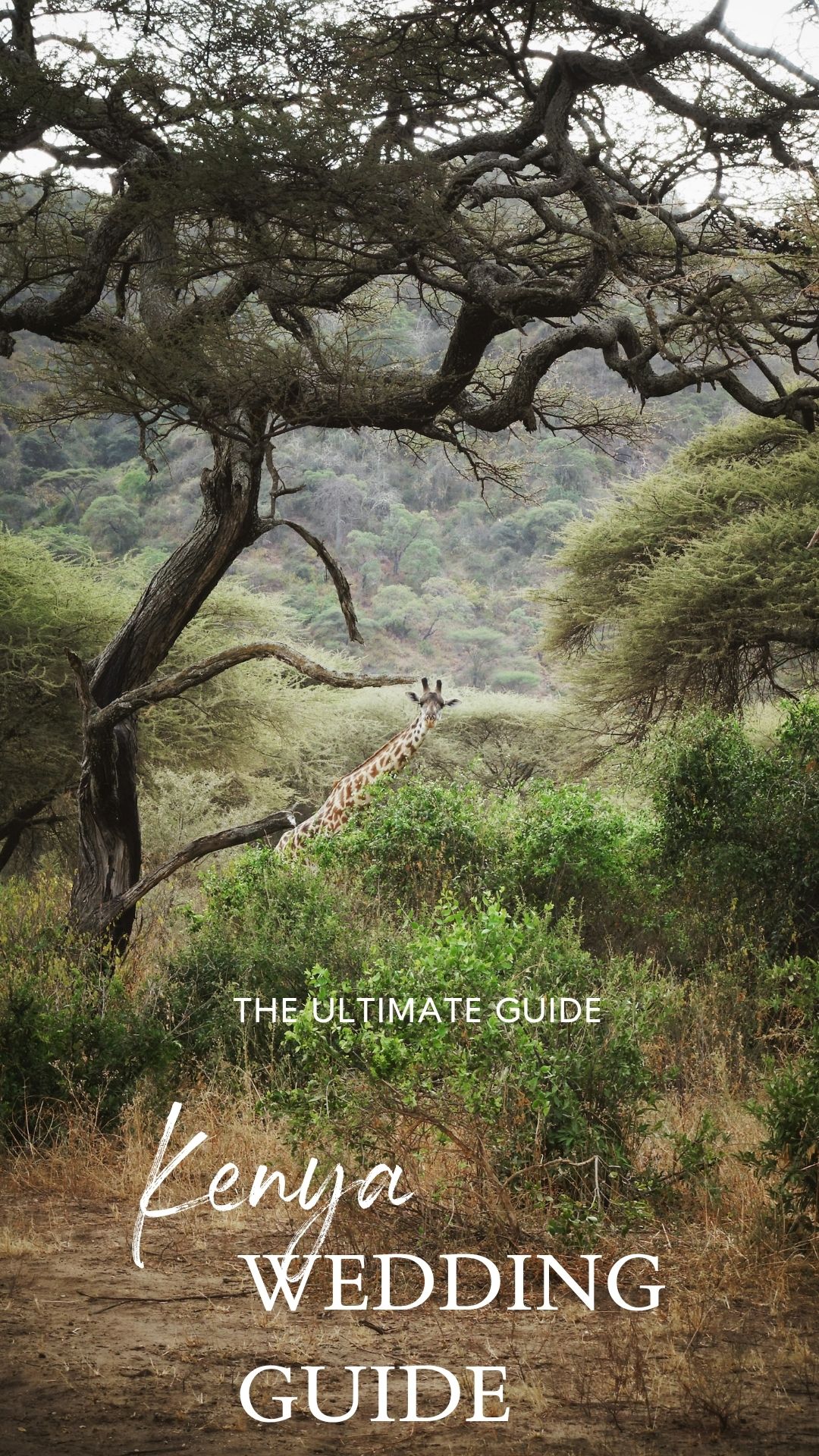 The ultimate Kenya wedding guide includes top spots for your wedding ceremony, best time to elope, how to make it legal, and budgeting.