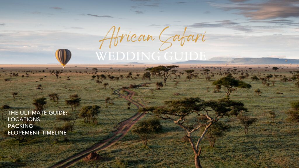 An African Wedding Safari with top safari locations, packing list, and an elopement timeline to make your planning easy.