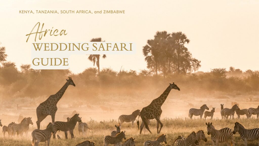 An African Wedding Safari with top safari locations, packing list, and an elopement timeline to make your planning easy.