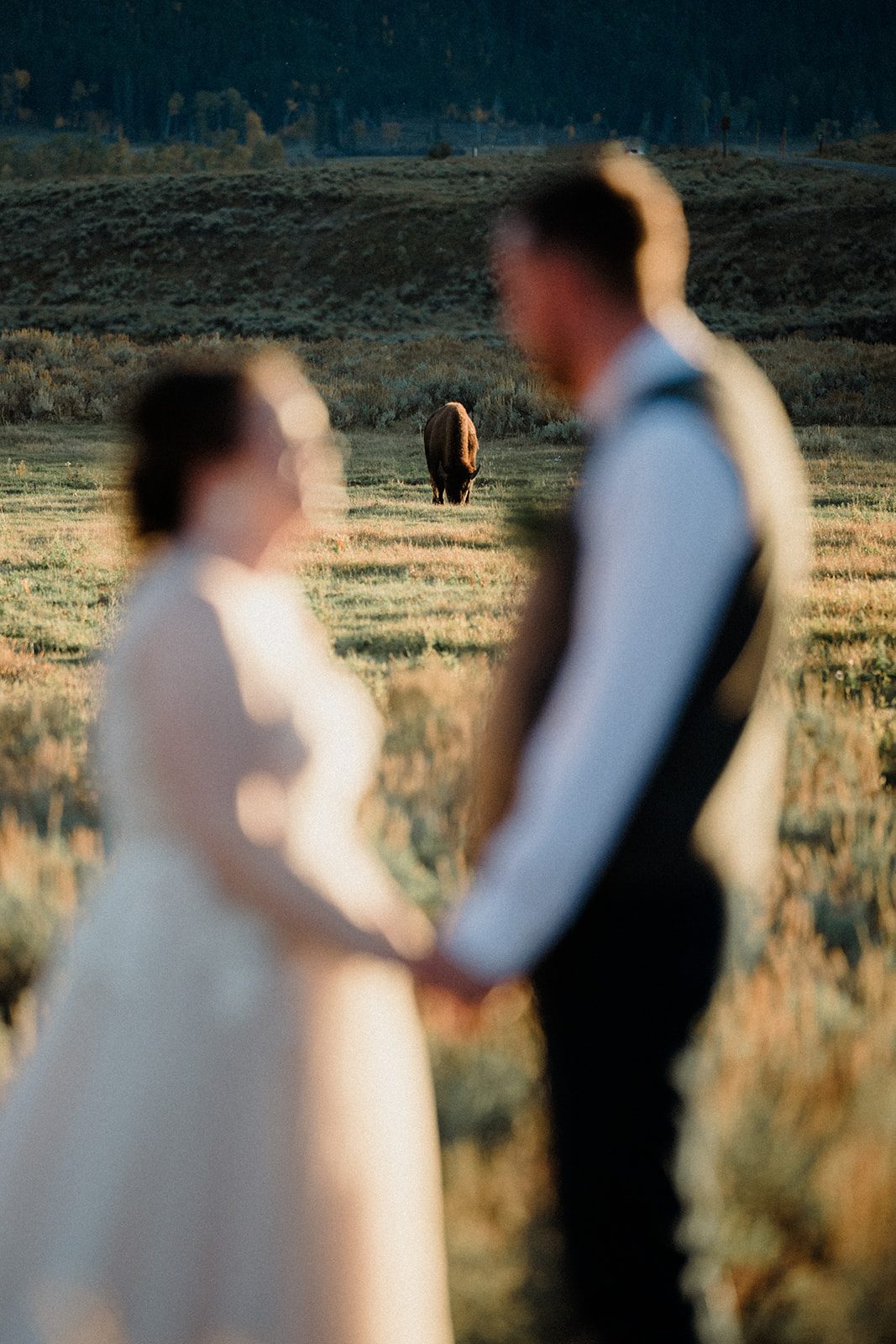 how to propose in Yellowstone National Park