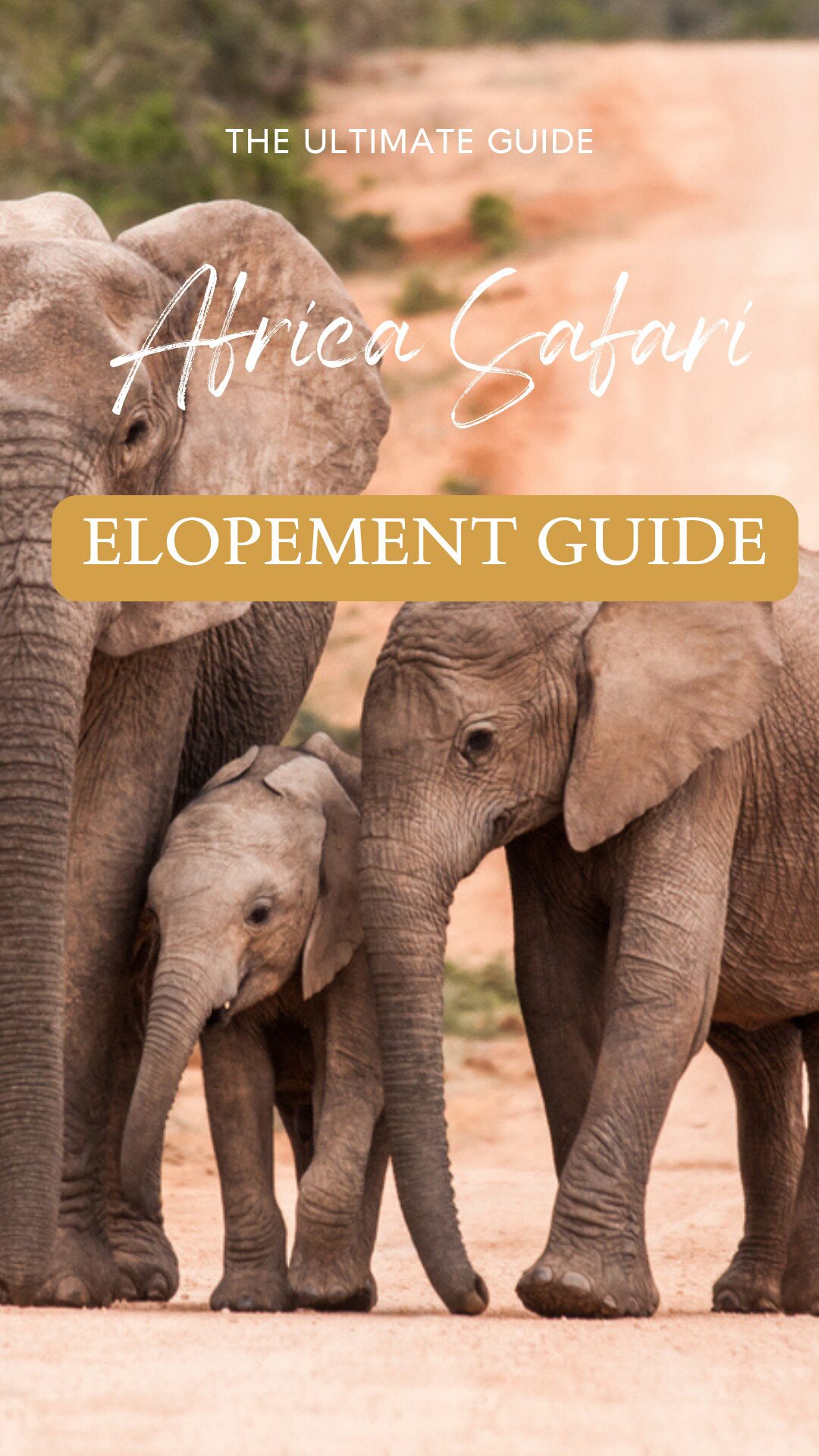 An African Wedding Safari with top safari locations, packing list, and an elopement timeline to make your planning easy.