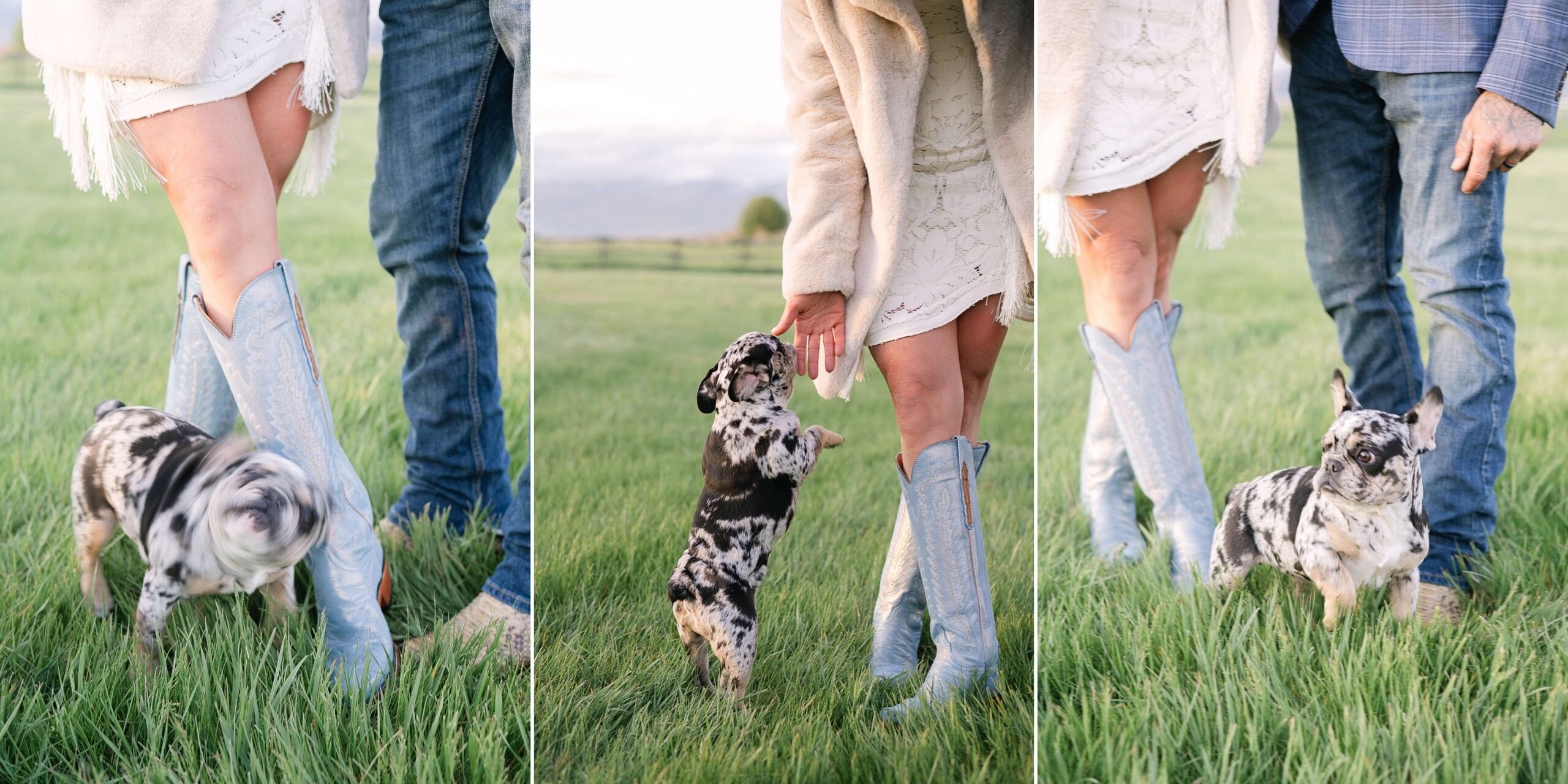 Vow renewal in Montana at Heritage Ranch in Bozeman. Get inspo, ideas, and planning tips for a meaningful Montana vow renewal experience.
