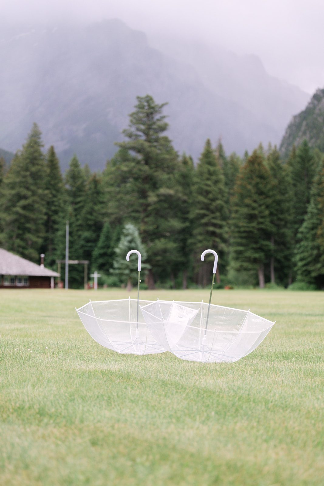 See Katy and Nick’s summer camp wedding in Montana at Luccock Park! Boho wedding style, live band and fun camp-inspired ideas.